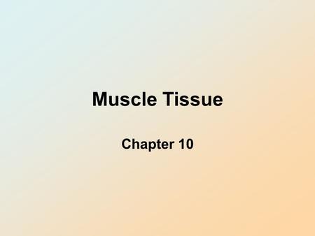 Muscle Tissue Chapter 10.