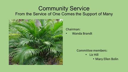 Community Service From the Service of One Comes the Support of Many Chairman: Wanda Brandt Committee members: Liz Hill Mary Ellen Bolin.