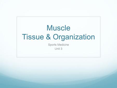 Muscle Tissue & Organization Sports Medicine Unit 3.