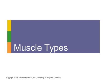 Copyright © 2006 Pearson Education, Inc., publishing as Benjamin Cummings Muscle Types.