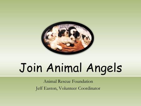Join Animal Angels Animal Rescue Foundation Jeff Easton, Volunteer Coordinator.
