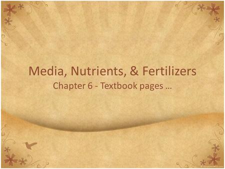 Media, Nutrients, & Fertilizers