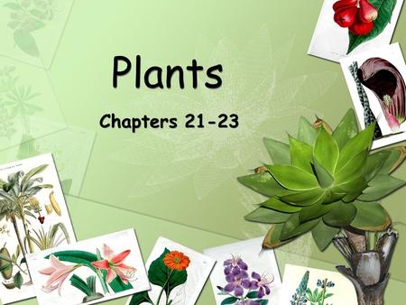Plants Chapters 21-23.