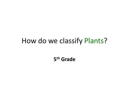 How do we classify Plants? 5 th Grade. Scientists study what is INSIDE plants to divide them into 2 groups. What are these 2 groups called? 1) Vascular.