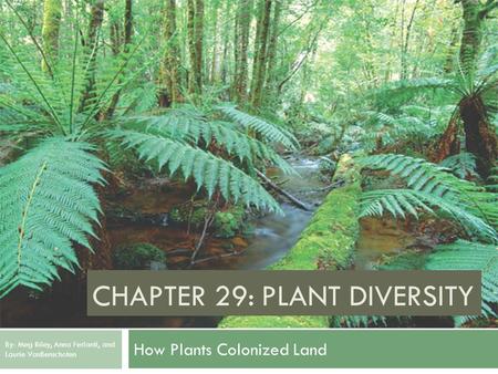 CHAPTER 29: PLANT DIVERSITY How Plants Colonized Land By: Meg Riley, Anna Ferlanti, and Laurie VanBenschoten.