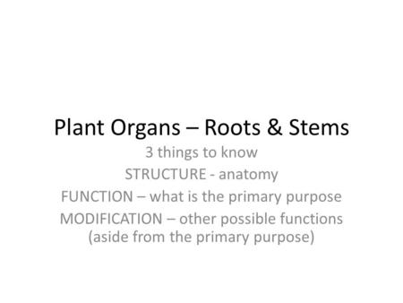 Plant Organs – Roots & Stems 3 things to know STRUCTURE - anatomy FUNCTION – what is the primary purpose MODIFICATION – other possible functions (aside.