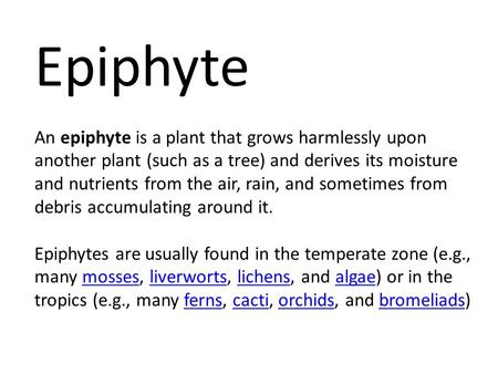 Epiphyte An epiphyte is a plant that grows harmlessly upon another plant (such as a tree) and derives its moisture and nutrients from the air, rain, and.