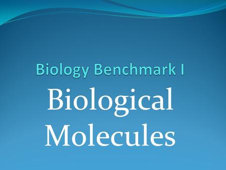 Biological Molecules. Control Groups Are used to compare your results to the experimental group.