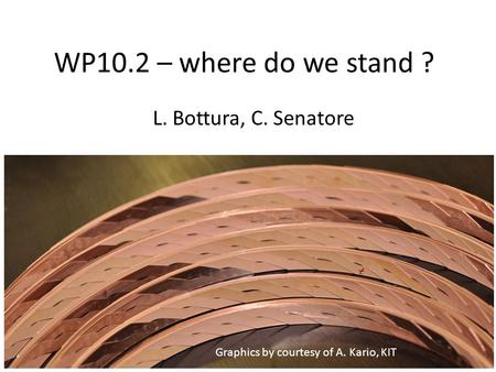 WP10.2 – where do we stand ? L. Bottura, C. Senatore Graphics by courtesy of A. Kario, KIT.