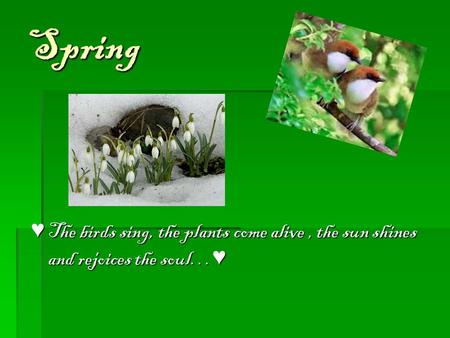 Spring ♥ The birds sing, the plants come alive, the sun shines and rejoices the soul… ♥
