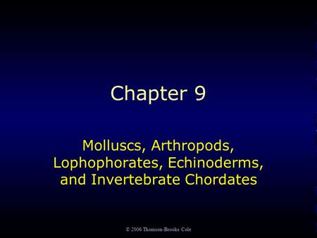 © 2006 Thomson-Brooks Cole Chapter 9 Molluscs, Arthropods, Lophophorates, Echinoderms, and Invertebrate Chordates.