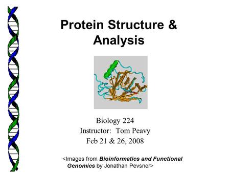 Biology 224 Instructor: Tom Peavy Feb 21 & 26, 2008  Protein Structure & Analysis.