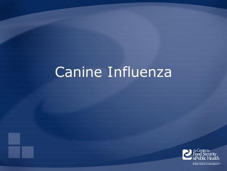 Canine Influenza. Overview Organism History Epidemiology Transmission Disease in Humans Disease in Animals Prevention and Control Center for Food Security.
