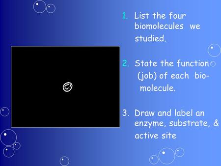 1. 1.List the four biomolecules we studied. 2. 2.State the function (job) of each bio- molecule. 3. Draw and label an enzyme, substrate, & active site.