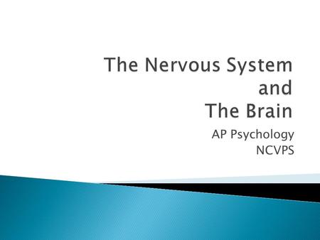 AP Psychology NCVPS. AP Psychology NCVPS The electrochemical communication system of the body Two way communications: from the brain to the body for.