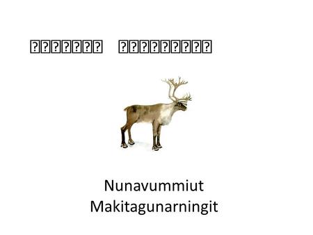 Nunavummiut Makitagunarningit. Nunavummiut Makitagunarningit, or ‘Makita’ for short, is an independent, non- governmental organization made up of Nunavummiut.