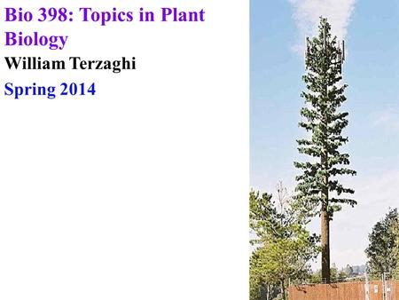 William Terzaghi Spring 2014 Bio 398: Topics in Plant Biology.