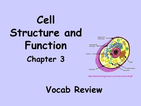 Cell Structure and Function Chapter 3