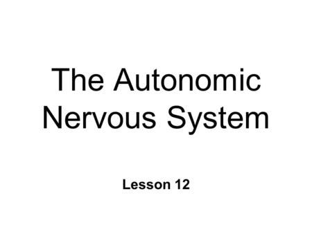 The Autonomic Nervous System Lesson 12. n Homeostasis l Maintenance of steady internal state n Effectors l autonomous l Smooth Muscle, Cardiac Muscle,