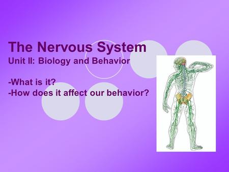 The Nervous System Unit II: Biology and Behavior -What is it? -How does it affect our behavior?