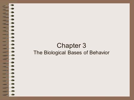 Chapter 3 The Biological Bases of Behavior. Behavior depends on rapid information travel and processing…the _1_ system is the body’s communication network,