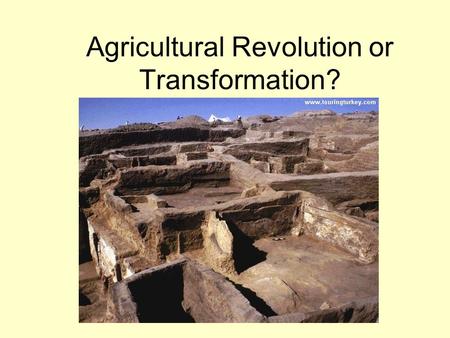 Agricultural Revolution or Transformation?. The Technology of Paleolithic Societies Early tools - wood, bones, animal skins, and stone, Tools provided.
