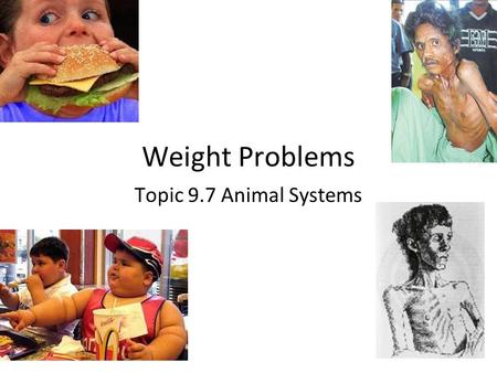 Weight Problems Topic 9.7 Animal Systems. We have looked at how different people have different energy requirements. But what happens if a person takes.