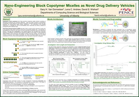 Block Copolymer Construction by SPPS Nano-Engineering Block Copolymer Micelles as Novel Drug Delivery Vehicles Gary H. Van Domselaar †, Lena C. Andrew,