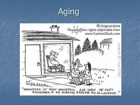 Aging. The Stages of Life Infancy…Birth-18 months Infancy…Birth-18 months Toddlerhood…2-4 Toddlerhood…2-4 School Age…5-12 School Age…5-12 Adolescence…13-20.