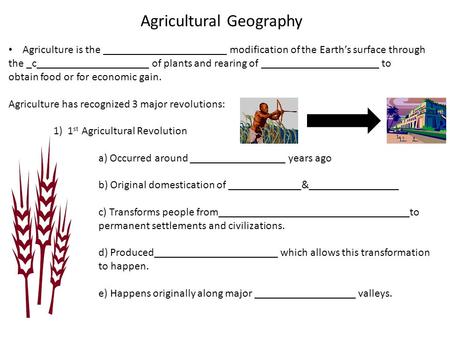 Agricultural Geography Agriculture is the ______________________ modification of the Earth’s surface through the _c____________________ of plants and rearing.