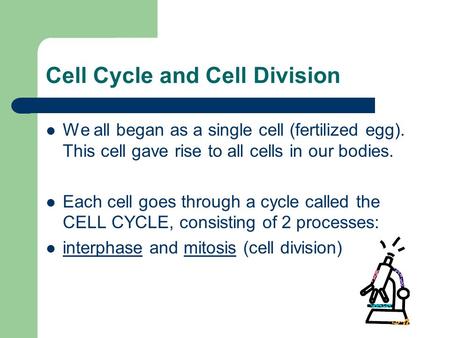 Cell Cycle and Cell Division We all began as a single cell (fertilized egg). This cell gave rise to all cells in our bodies. Each cell goes through a cycle.