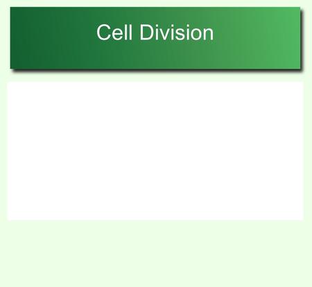Cell Division. CELL CYCLE The cell cycle is divided into 3 main stages: Mitosis when the nuclear division occurs and the cell splits. Interphase, when.