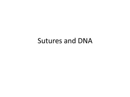 Sutures and DNA. Forensic Anthropology Identification and examination of human skeletal remains Identification and examination of human skeletal remains.