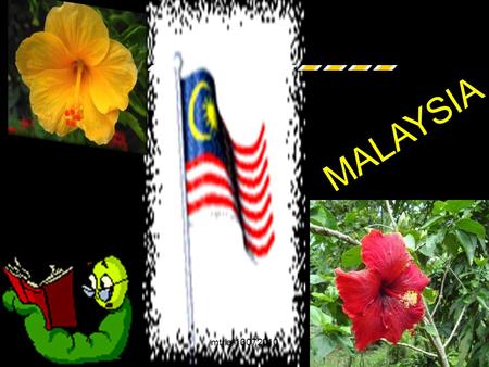 MALAYSIA mtrla/13072010.