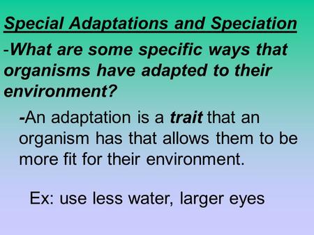 Special Adaptations and Speciation Ex: use less water, larger eyes -An adaptation is a trait that an organism has that allows them to be more fit for their.