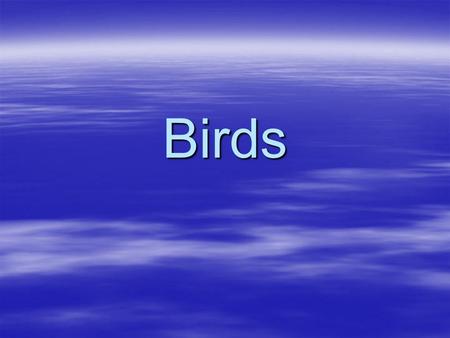 Birds. General Characteristics  Vertebrate  Body covered in feathers  Endothermic- meaning Warm-blooded  Can regulate by increasing breathing rate.