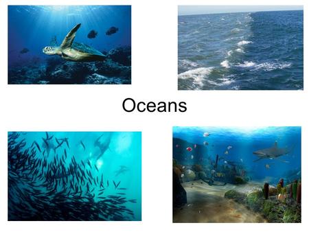 Oceans. Marine Environments Environment: The air, water, minerals, organisms, and all other external factors surrounding and affecting a given organism.