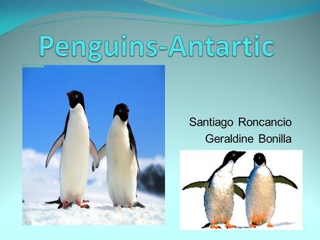 Santiago Roncancio Geraldine Bonilla. Is located in the south pole. has 14 million km 2 of surface area. Temperatures reach a minimum of between −80.