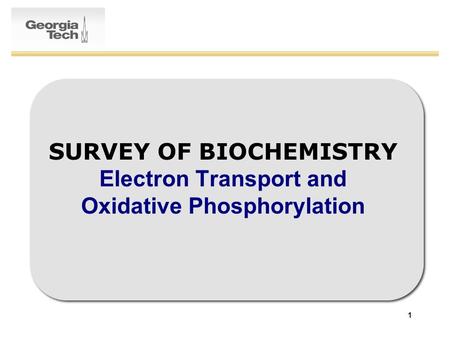 1 SURVEY OF BIOCHEMISTRY Electron Transport and Oxidative Phosphorylation.