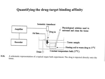 Quantifying the drug-target binding affinity. Receptors as targets (Receptors are 45% of current drug targets) Receptors are areas of proteins found in.