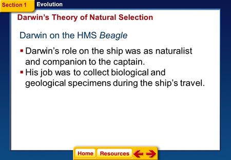 Darwin on the HMS Beagle