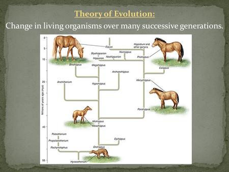 Theory of Evolution: Change in living organisms over many successive generations.
