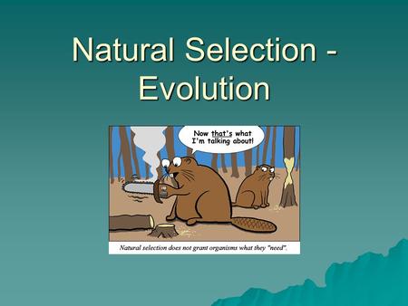 Natural Selection - Evolution. What is it?  Charles Darwin (1859)  HMS Beagle  Galapagos Islands  Studied Anatomy of Finches of Finches.