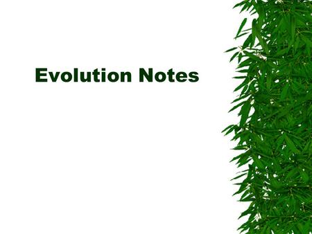 Evolution Notes. Indirect Evidence  Data gathered by looking at the effects of an event rather than witnessing the actual event.