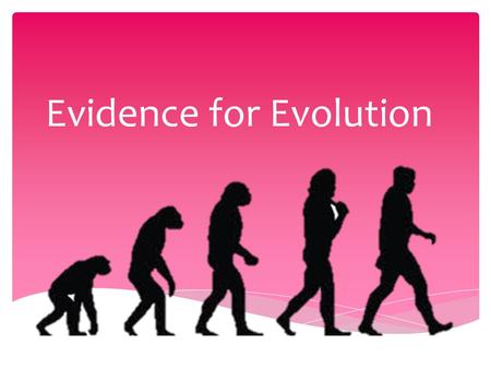 Evidence for Evolution.  Supported by evidence gathered over a century  Evidence must be gathered to support the theory of evolution- THE THEORY CANNOT.