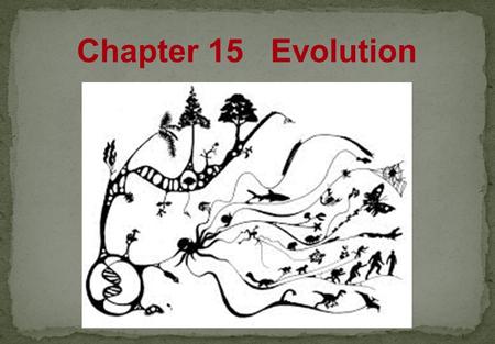 Chapter 15 Evolution Natural Selection  Individuals in a population show variations.  Variations can be inherited.  Organisms have more offspring.