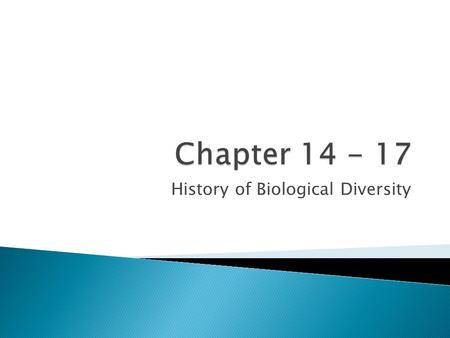 History of Biological Diversity.  Preserved evidence of organism  Learned different types of fossils ◦ Molds, casts, petrified fossils, animal & plant.