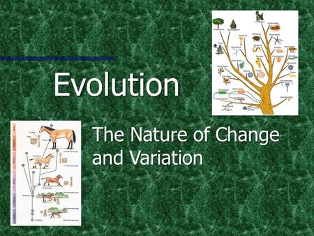 Evolution The Nature of Change and Variation What is Evolution? Simply… a change in living organisms over time Simply… a change in living organisms over.