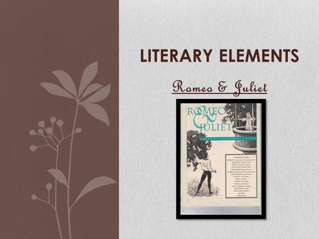 Literary Elements Romeo & Juliet.