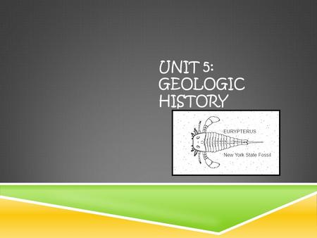 UNIT 5: GEOLOGIC HISTORY. AT THE END OF THIS UNIT YOU WILL BE ABLE TO  Calculate the absolute age of a substance based on its decay rate  Correlate.